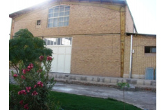 ورودی اصلی
